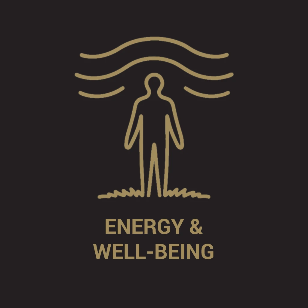 Energia a vitalita